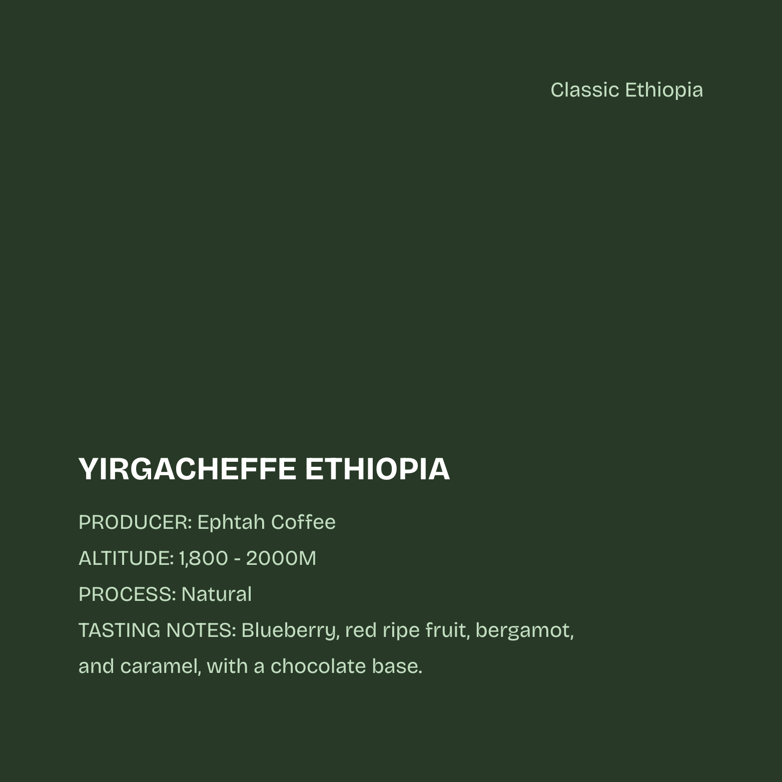 Yirgacheffe Ethiopia